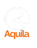 AquilaCyber Logo